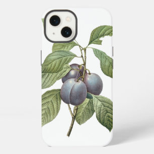 Vintage Food Fruit, Purple Garden Plums by Redoute iPhone 13 Case