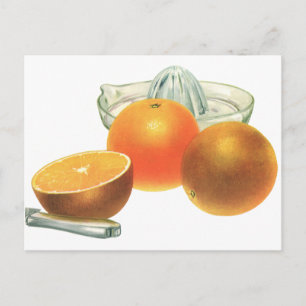 Vintage Food Fruit, Ripe Oranges Juicer Breakfast Postcard