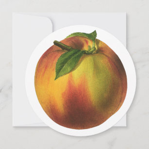 Vintage Food Fruit, Ripe Organic Peach with Leaf