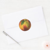 Vintage Food Fruit, Ripe Organic Peach with Leaf Classic Round Sticker (Envelope)