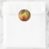 Vintage Food Fruit, Ripe Organic Peach with Leaf Classic Round Sticker (Bag)