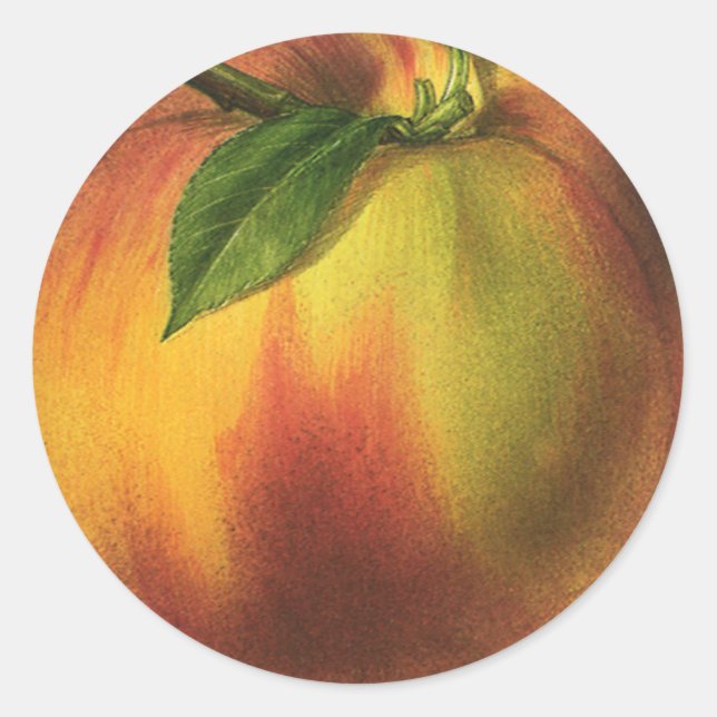 Vintage Food Fruit, Ripe Organic Peach with Leaf Classic Round Sticker (Front)