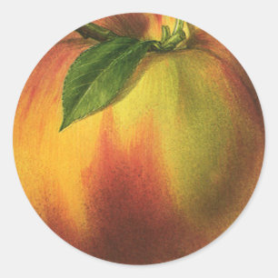 Vintage Food Fruit, Ripe Organic Peach with Leaf Classic Round Sticker
