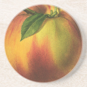 Vintage Food Fruit, Ripe Organic Peach with Leaf Coaster