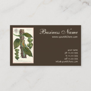 Vintage Food Herbs Spices, Black Pepper Plant Business Card