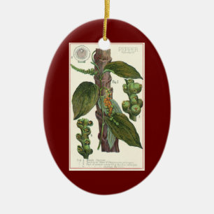 Vintage Food Herbs Spices, Black Pepper Plant Ceramic Tree Decoration