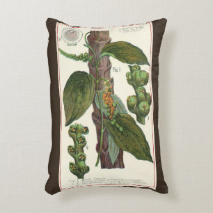Vintage Food Herbs Spices, Black Pepper Plant Decorative Cushion