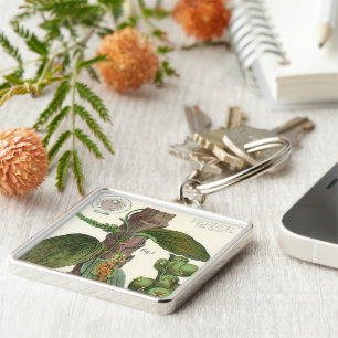 Vintage Food Herbs Spices, Black Pepper Plant Key Ring