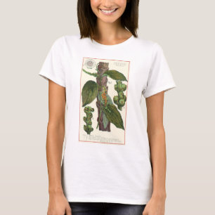 Vintage Food Herbs Spices, Black Pepper Plant T-Shirt