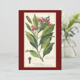 Vintage Food Herbs Spices, Cloves Plant