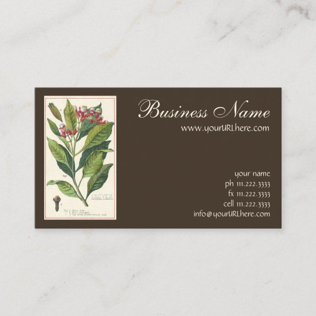 Vintage Food Herbs Spices, Cloves Plant Business Card (Front)