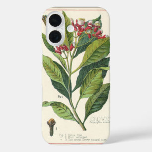 Vintage Food Herbs Spices, Cloves Plant iPhone 16 Case