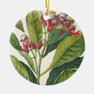 Vintage Food Herbs Spices, Cloves Plant Ceramic Tree Decoration