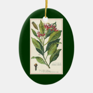 Vintage Food Herbs Spices, Cloves Plant Ceramic Tree Decoration