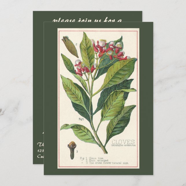 Vintage Food Herbs Spices, Cloves Plant Invitation (Front/Back)