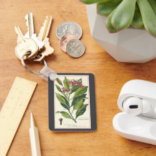 Vintage Food Herbs Spices, Cloves Plant Key Ring