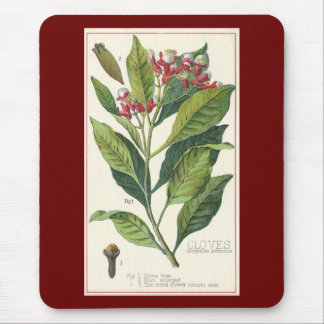 Vintage Food Herbs Spices, Cloves Plant Mouse Mat