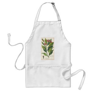 Vintage Food Herbs Spices, Cloves Plant Standard Apron