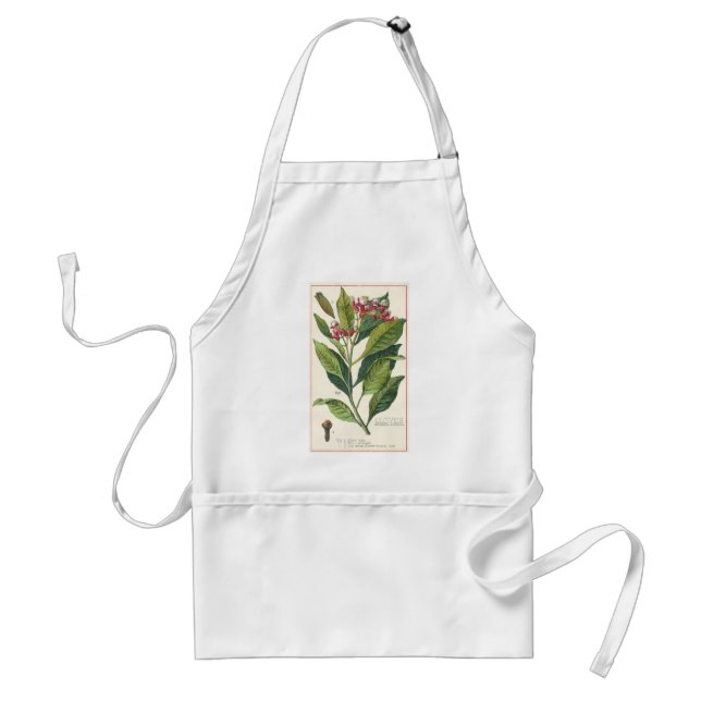 Vintage Food Herbs Spices, Cloves Plant Standard Apron (Front)