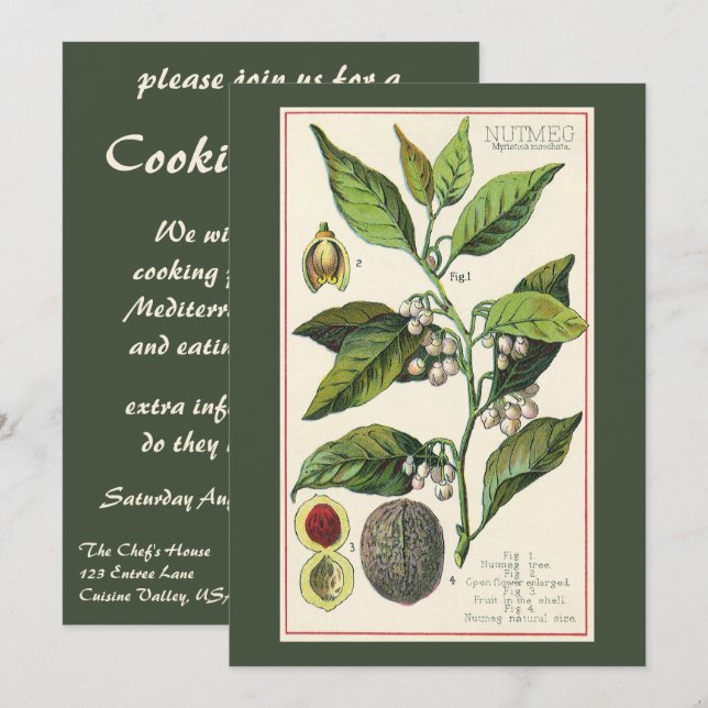 Vintage Food Herbs Spices, Nutmeg Plant Party Invitation (Front/Back)