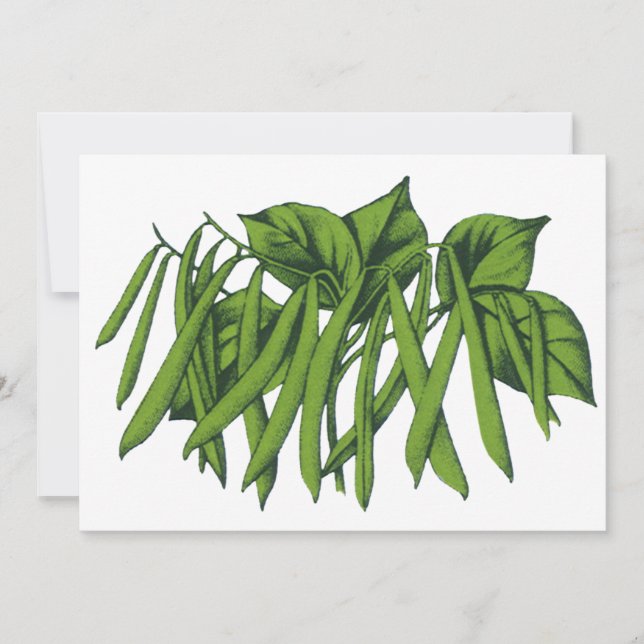 Vintage Food, Organic Green Beans Vegetables (Front)