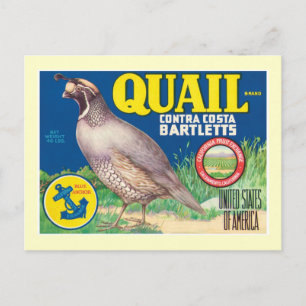 Vintage Food Product Label Postcard