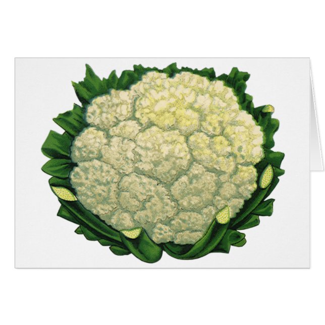 Vintage Food Vegetables Veggies Cauliflower (Front Horizontal)