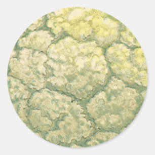 Vintage Food Vegetables Veggies Cauliflower Classic Round Sticker