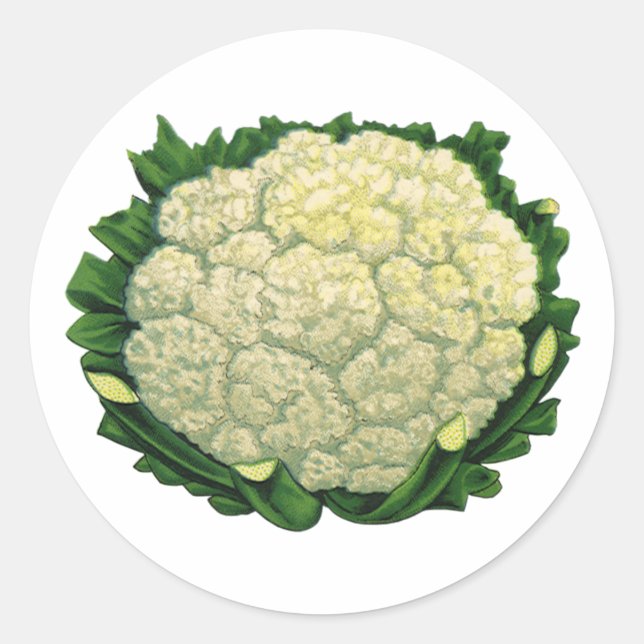 Vintage Food Vegetables Veggies Cauliflower Classic Round Sticker (Front)