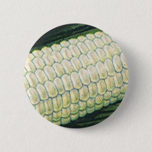 Vintage Food Vegetables White Corn on the Cob 6 Cm Round Badge