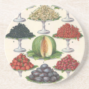 Vintage Foods Assorted Fruit on Trays for Catering Coaster