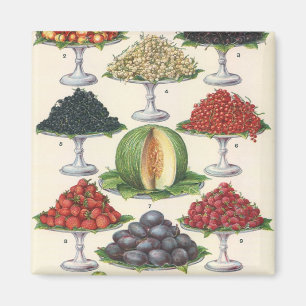 Vintage Foods Assorted Fruit on Trays for Catering Magnet