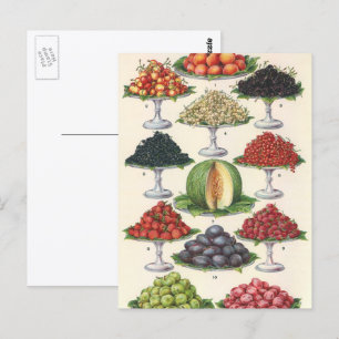 Vintage Foods Assorted Fruit on Trays for Catering Postcard