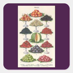 Vintage Foods Assorted Fruit on Trays for Catering Square Sticker