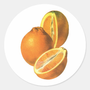 Vintage Foods, Fruit Organic Fresh Healthy Oranges Classic Round Sticker