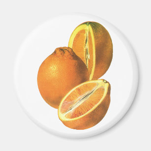 Vintage Foods, Fruit Organic Fresh Healthy Oranges Magnet