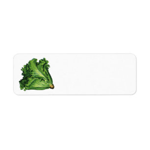 Vintage Foods, Green Leaf Lettuce Vegetables