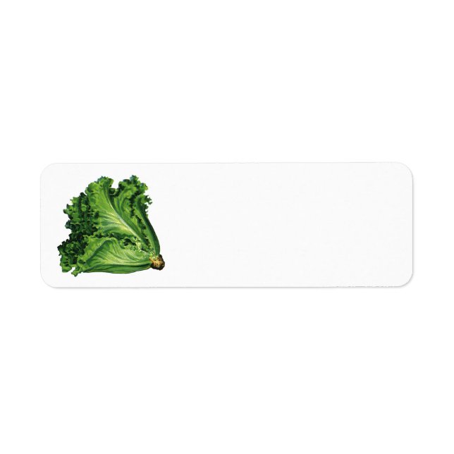 Vintage Foods, Green Leaf Lettuce Vegetables (Front)