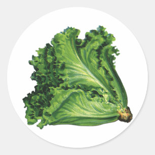 Vintage Foods, Green Leaf Lettuce Vegetables Classic Round Sticker