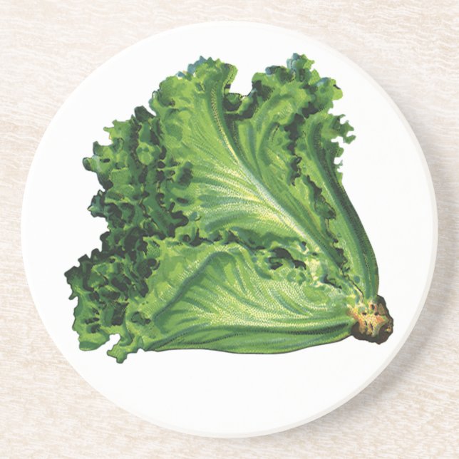 Vintage Foods, Green Leaf Lettuce Vegetables Coaster (Front)
