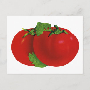 Vintage Foods, Organic Red Ripe Heirloom Tomato Postcard