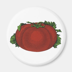 Vintage Foods, Ripe Tomato, Vegetables and Fruits Magnet