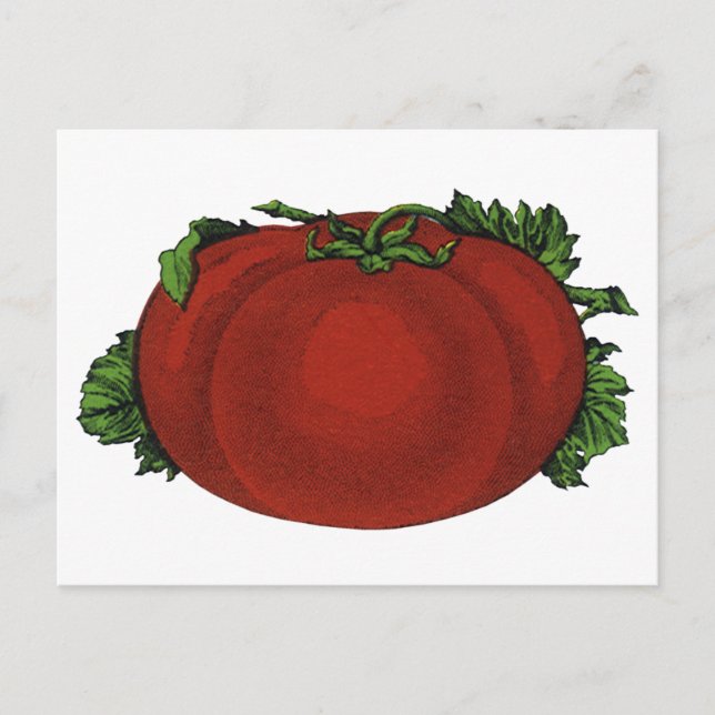 Vintage Foods, Ripe Tomato, Vegetables and Fruits Postcard (Front)