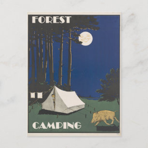 Vintage Forest Camping Travel Postcard