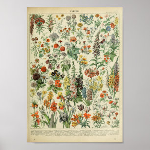 Vintage Forest Floral Flower Plant Poster