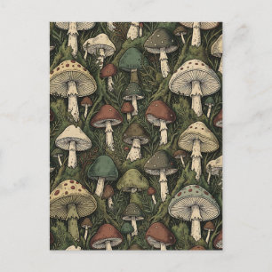  Vintage Forest Mushrooms Moody Cottagecore  Postcard