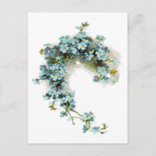 Vintage Forget-Me-Nots Postcard