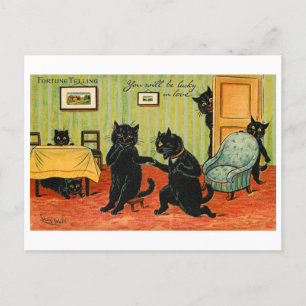 Vintage Fortune Telling Black Cats Lucky in Love Postcard