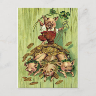 Vintage Four Leaf Clover Pig Gold St Patrick's Day Postcard