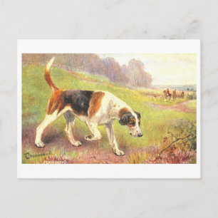 Vintage Fox Hounds Postcard